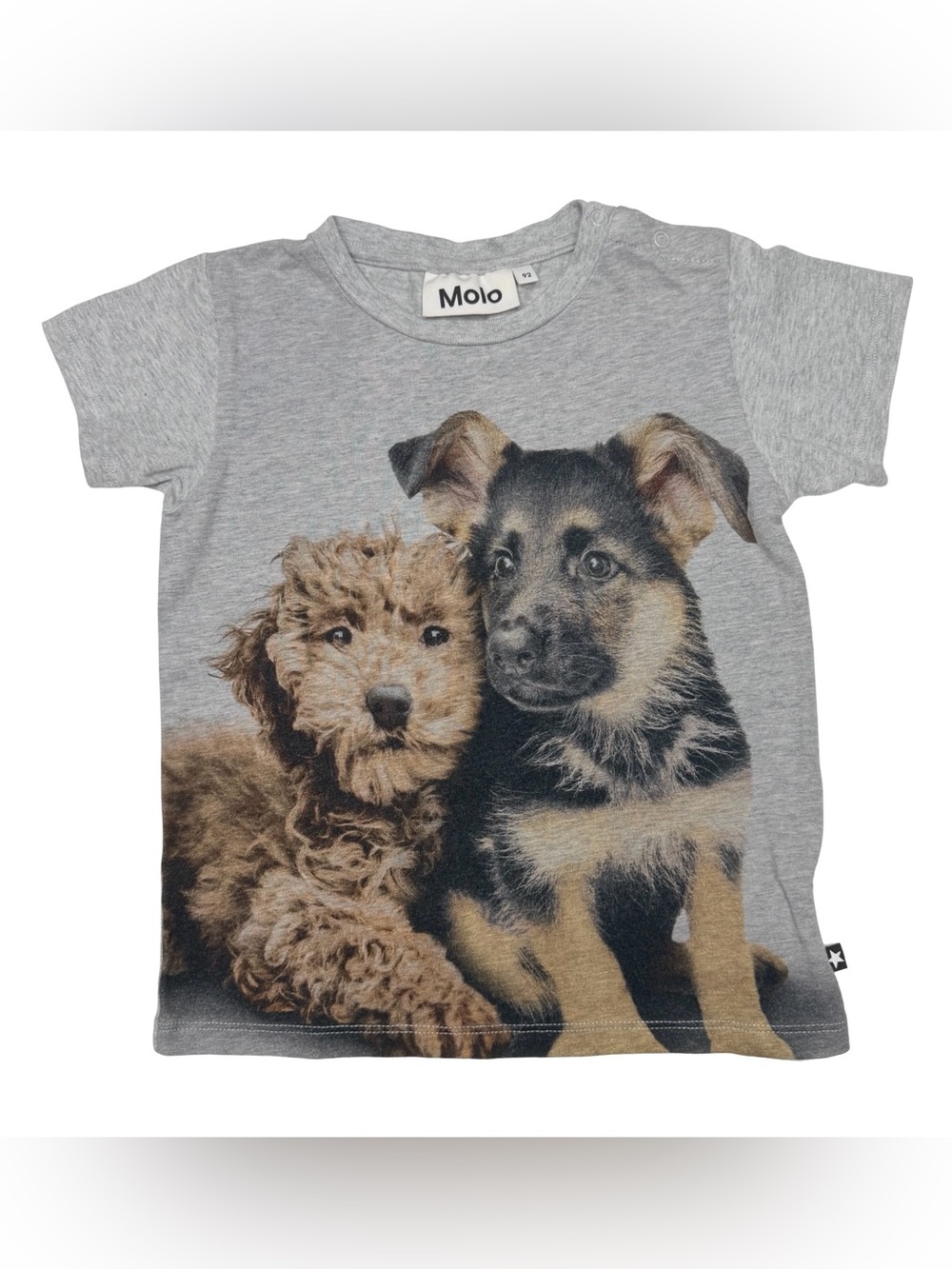 Molo Puppy‎ Dog Tee